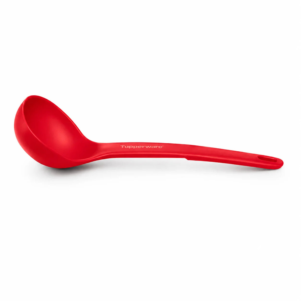 CONCHA MÁGICA CHILI