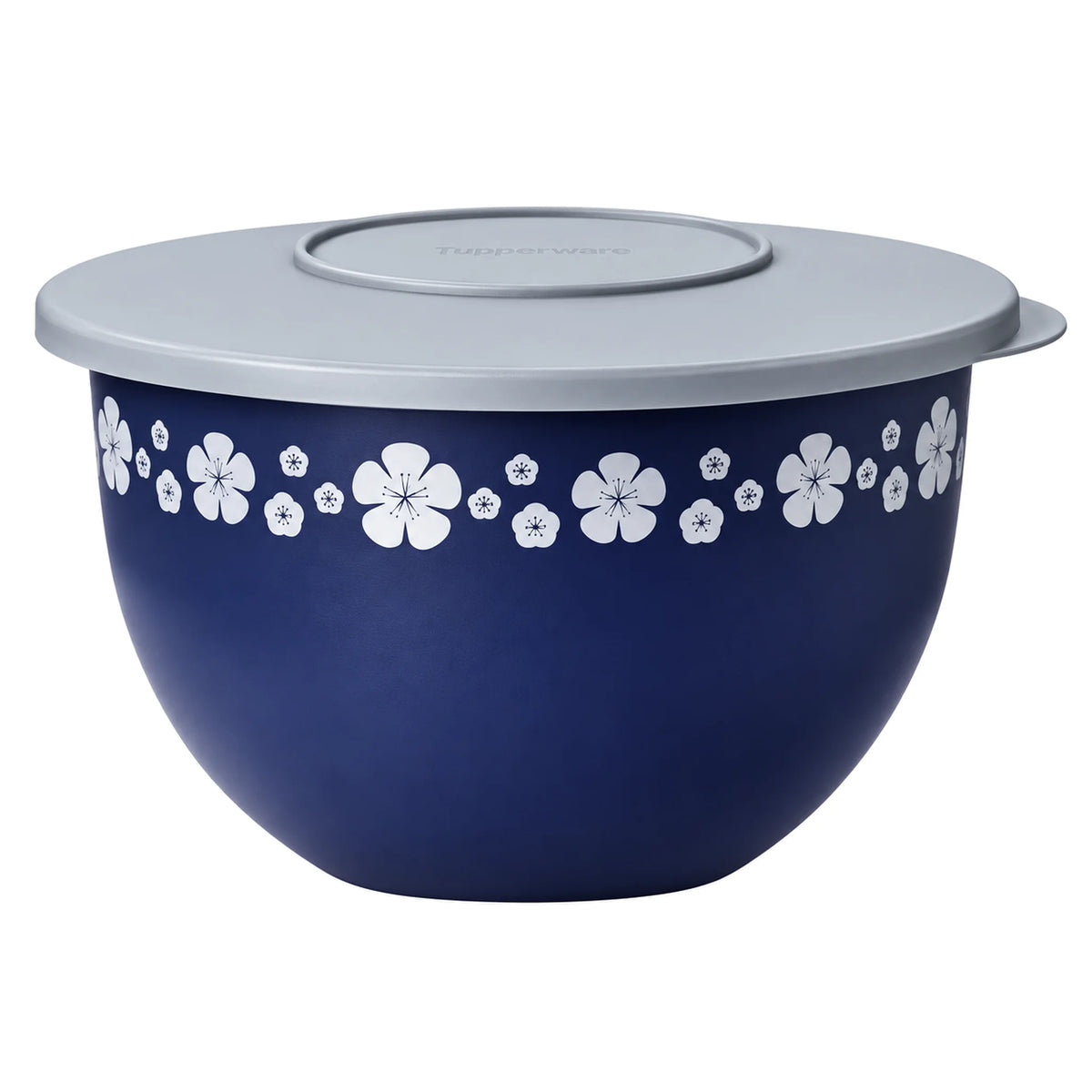 TIGELA MURANO ORIENTE 2,5L