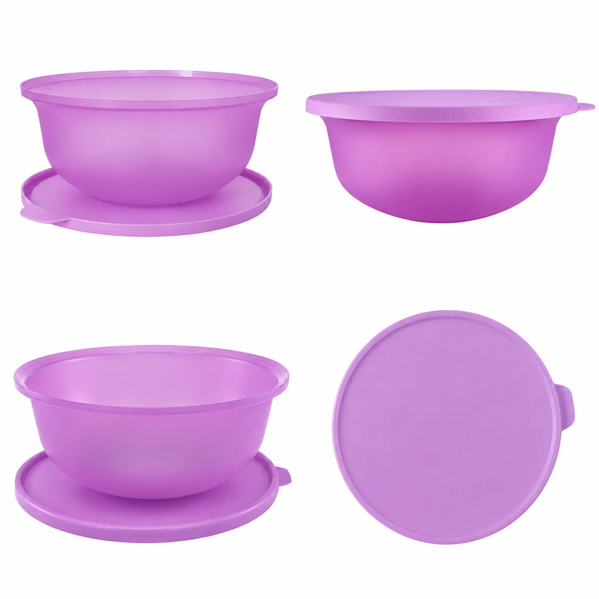 TIG ALOHA 2L PETUNIA